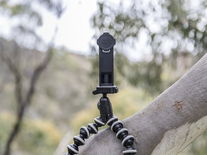 quad lock tripod adaptor on tripod and tree